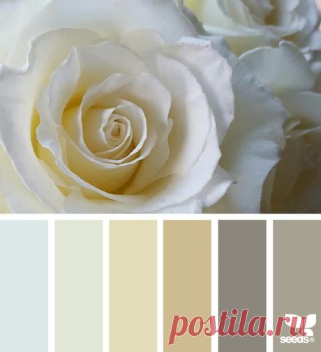 Pinterest: инструмент для поиска и хранения интересных идей