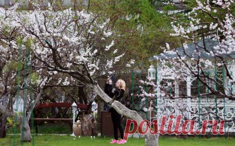Новоспасский монастырь - усыпальница Романовых - православные монастыри в Москве