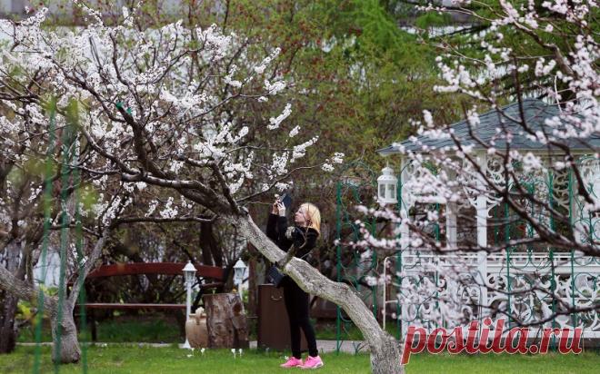 Новоспасский монастырь - усыпальница Романовых - православные монастыри в Москве