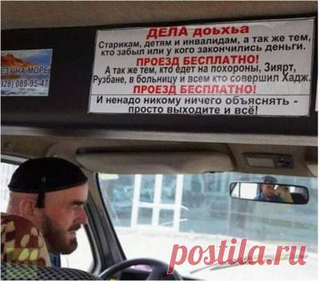 ЖИЗНЬ | СПЛЕТНИК