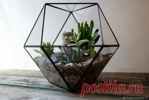 флорариум — Яндекс: нашлась 661 тыс. результатов