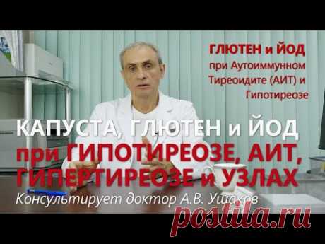 Капуста, Глютен и ЙОД при Гипотиреозе, Аутоиммунном тиреоидите (АИТ), Гипертиреозе  // Доктор Ушаков