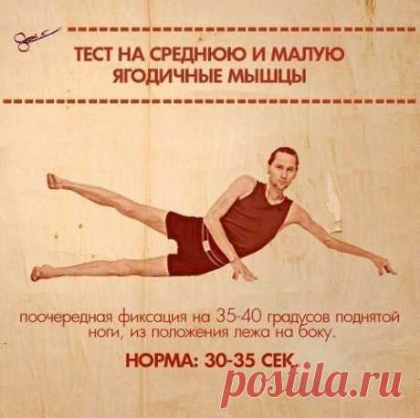 ТЕСТЫ НА ФУНКЦИОНАЛЬНУЮ СЛАБОСТЬ МЫШЦ.