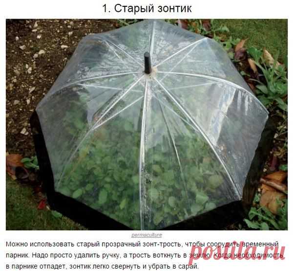 Интересные идеи дачникам | Подружки
