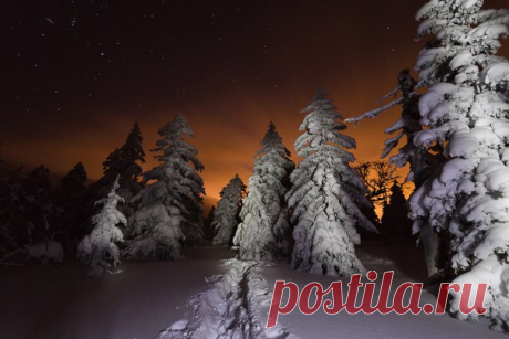 «Таежная ночь». Сахалин. Автор фото — Даниил Демкин, участник фотоконкурса «Дикая природа России». Присылайте свои фото, чтобы побороться за главный приз — 300 000 рублей: bit.ly/dpr-2016 Добрых снов.