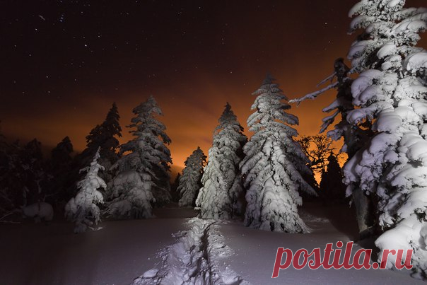 «Таежная ночь». Сахалин. Автор фото — Даниил Демкин, участник фотоконкурса «Дикая природа России». Присылайте свои фото, чтобы побороться за главный приз — 300 000 рублей: bit.ly/dpr-2016 Добрых снов.