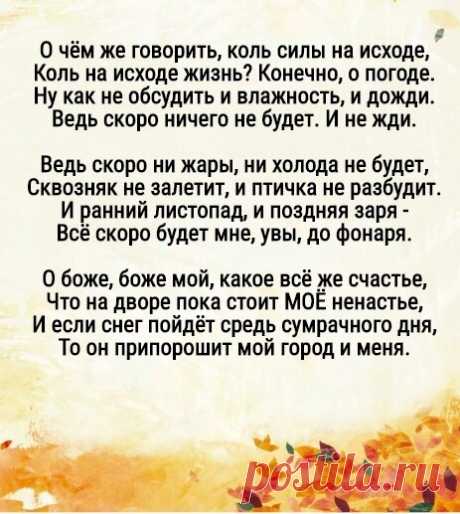 До слез: стихотворения Ларисы Миллер о том, как мыслят люди в возрасте | Эстер Нуво | Яндекс Дзен
