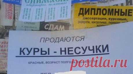 10 фото о том, что в рекламе царит неграмотность. Часть 2 | Блог Рады Артемьевой | Яндекс Дзен