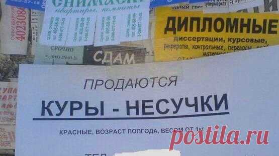 10 фото о том, что в рекламе царит неграмотность. Часть 2 | Блог Рады Артемьевой | Яндекс Дзен