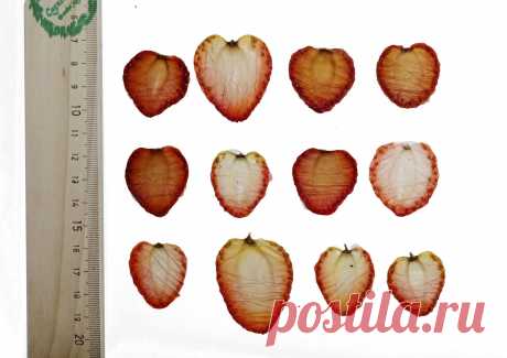 Сушеные плоские ломтики клубники для заливки смолой купить серед