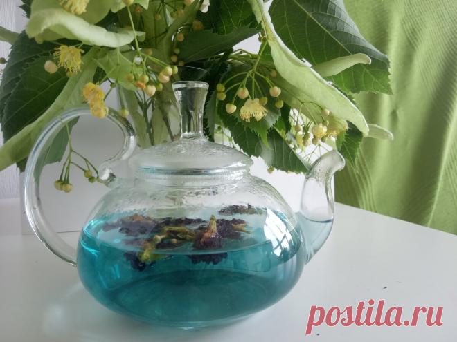 Очень красивый, почти безвкусный и бесконечно полезный | Tea.ru - о чае, кофе и не только | Яндекс Дзен