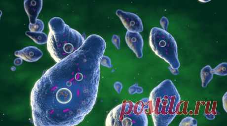 Инфекционист Жемчугов: ботулизм вызывают анаэробный микроб и его токсин. Доктор медицинских наук, инфекционист Владислав Жемчугов рассказал, что ботулизм вызывают анаэробный микроб и его токсин. Читать далее