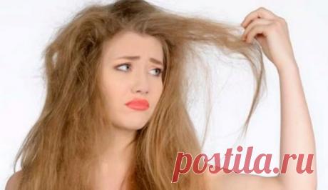 Как сделать свои волосы шикарными и густыми? 3 потрясающих рецепта для вашей шевелюры
