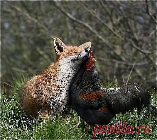 А вы говорите: Не может быть!