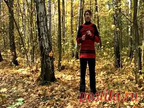 УПР.№4--КОШКА--Дыхательная гимнастика Стрельниковой от всех болезней | Bodymaster О спорте и фитнесе | Яндекс Дзен