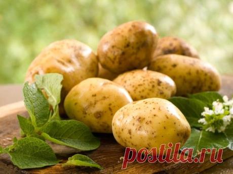 Вкусные рецепты