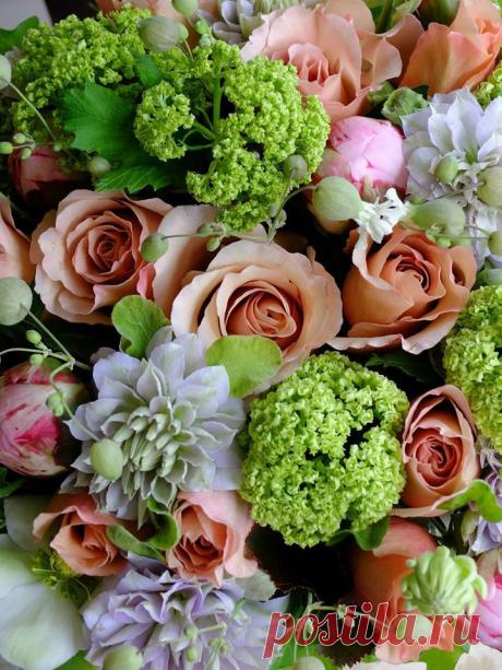 флористика