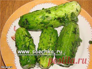 Малосольные огурцы в пакете - рецепт с фото