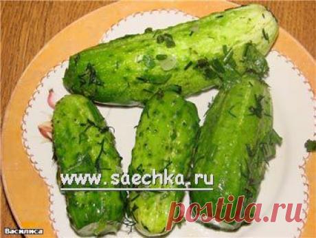Малосольные огурцы в пакете - рецепт с фото