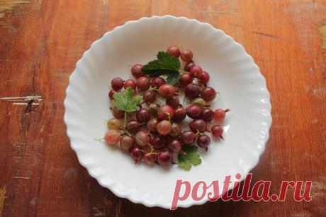 Крыжовник