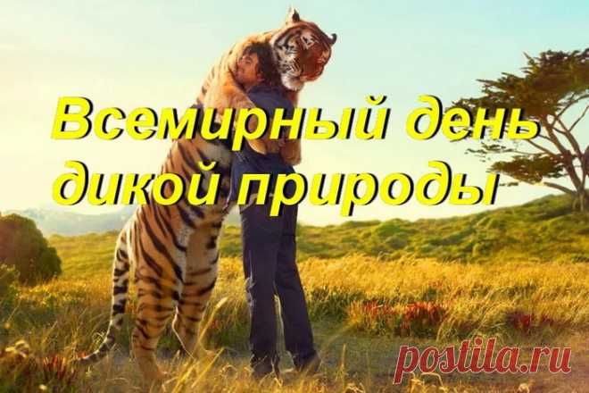 С Днем природы дикой поздравляю!
Этот праздник всем вокруг необходим.
Охранять природу и зверей желаю,
Дикий мир пусть будет цел и неделим.