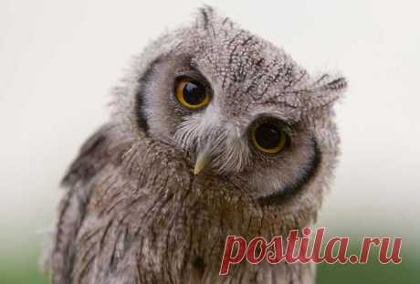 НЕ НАДО ЖИТЬ С М**АКАМИ