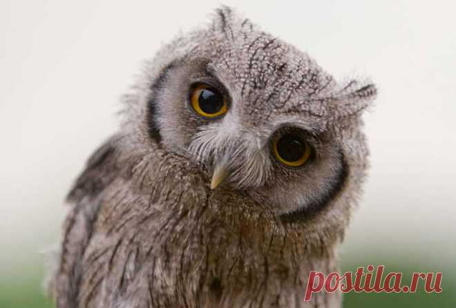 НЕ НАДО ЖИТЬ С М**АКАМИ