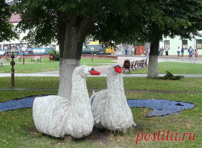 лебеди
Слоним Гродненская обл