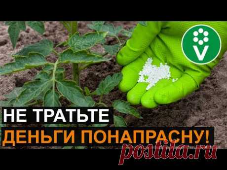Как сэкономить на минеральных удобрениях?