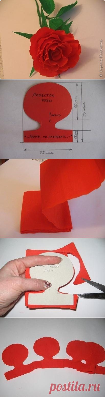 Алая роза из гофрированной бумаги. МК.