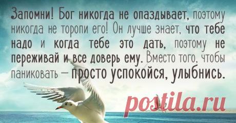 7 мудрейших открыток