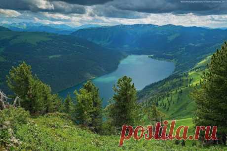 Катунский заповедник. Алтай #Россия