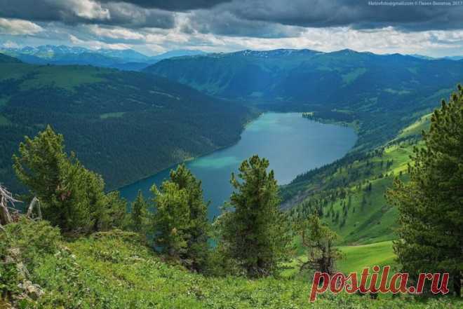 Катунский заповедник. Алтай #Россия