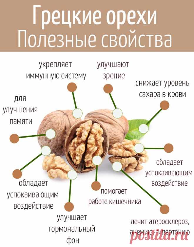 Настойка грецкого ореха на спирту. Применение в лечебных целях, рецепт на перегородках, из скорлупы