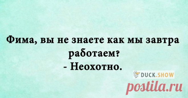 Подборка уморительных шуточек и анекдотов, которые развеселят каждого