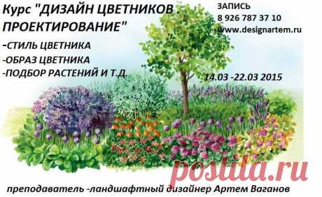 Студия ландшафтного дизайна Артема Ваганова