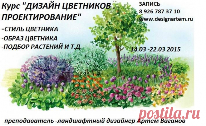 Студия ландшафтного дизайна Артема Ваганова
