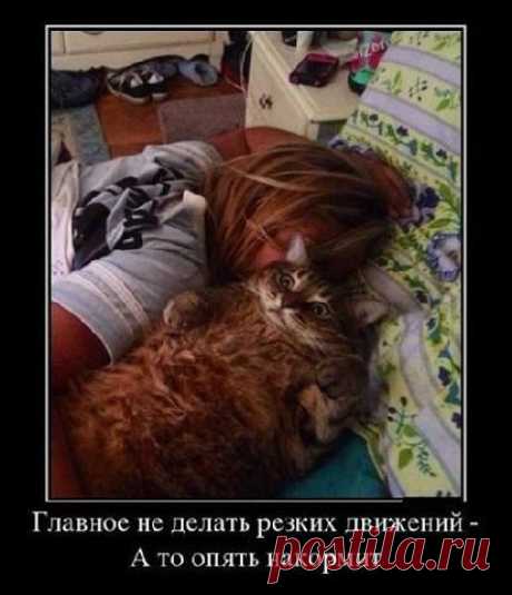 Ура! Пятница! Зверский юмор! | Давай поговорим