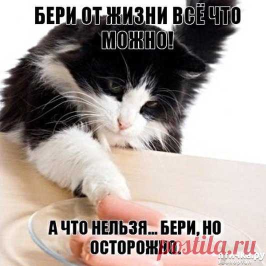 Юмор выходного дня – Блог. Run, пользователь Марина Николаева | Группы Мой Мир