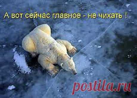 главное - не чихать!