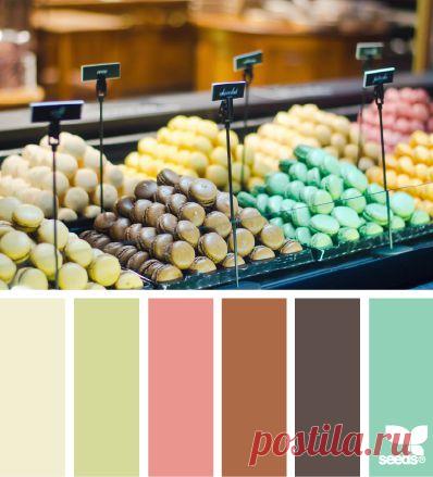 Design Seeds® | for all who ❤ color