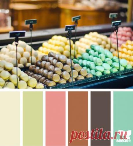 Design Seeds® | for all who ❤ color