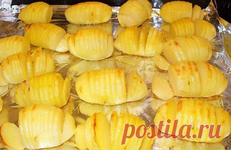 Рецепт -  &quot;Гассель&quot; » Вкусные рецепты с фото. Рецепты на праздники! Рецепты закусок и бутербродов. Разные кулинарные рецепты