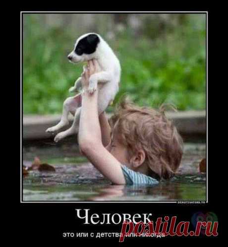 Добро — не наука, оно действие. (Р. Роллан)
