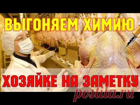 Как БЫСТРО выгнать химию из магазинной курицы.Совет от работника мясокомбината.