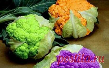 Необычные овощи и фрукты | Любимые рецепты