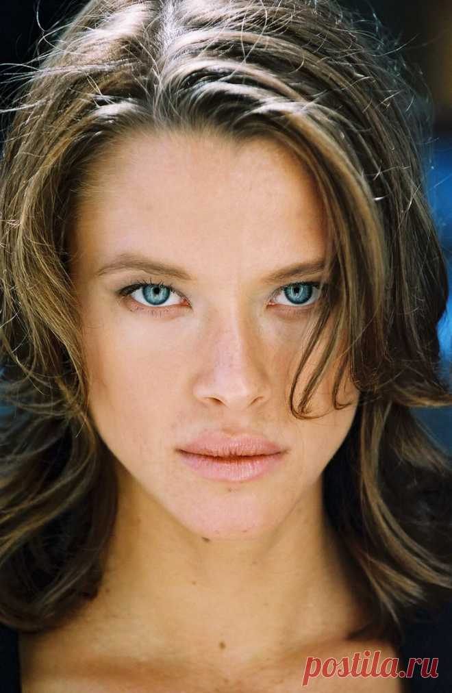 Скотти Томпсон, 9 ноября, 1981