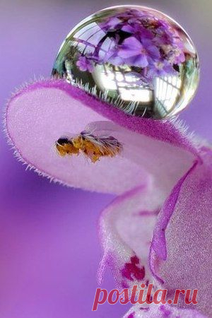 Мой Мир@Mail.Ru