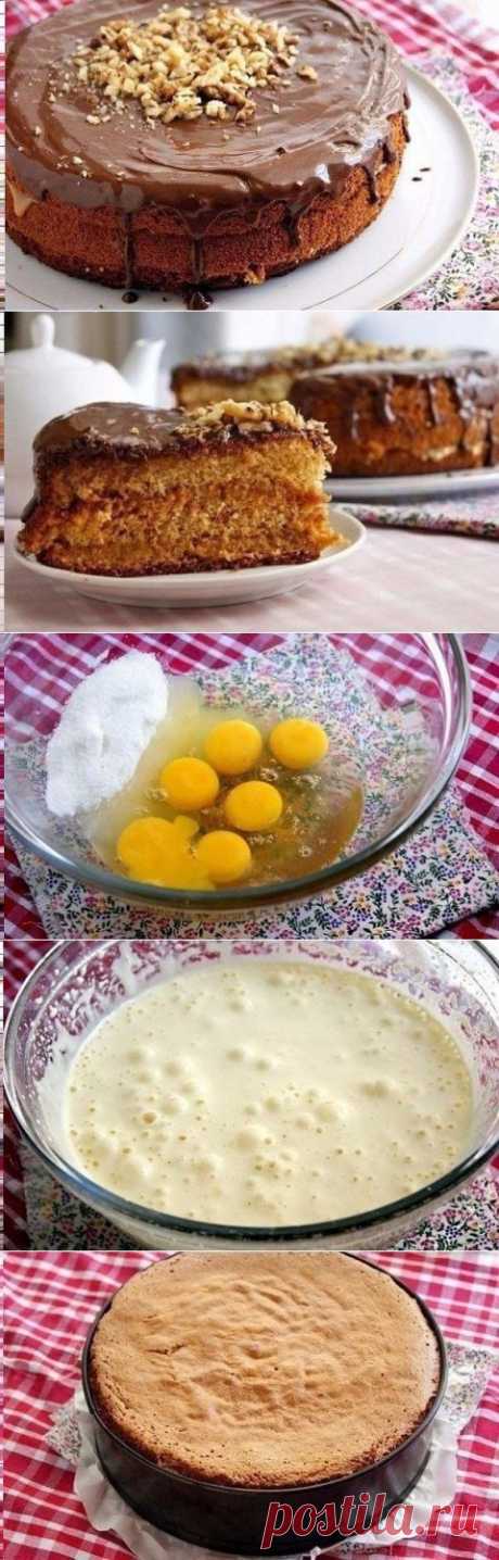 Медовый бисквит «Цыганский барон» | Вкусный каприз.