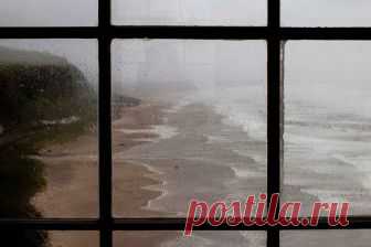 Человек, который всегда молчал (Дикая Собака Динго) / Стихи.ру